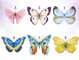 butterflies-slide-jpg-16460264916082147