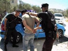 01071929943018067477538578703461