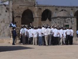 مستوطنون يجددون اقتحامهم للمسجد الأقصى