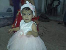 13599726_1161196850609641_469565855_n