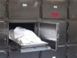 02088392471878317881132361612433