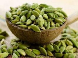 benefits-of-cardamom-jpg-49458690686630541