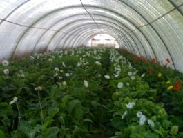 وزارة الزراعة تبحث استراتيجة جديدة للأعوام المقبلة