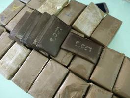 13823514_1172399176156075_1206527709_n