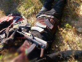 مقتل 5 داعشيين بينهم قيادي خطير في سيناء.jpg