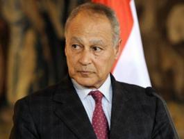 احمد ابو الغيط