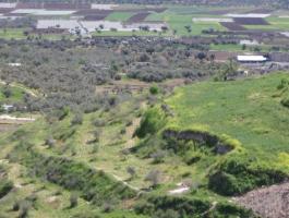 156923ec4b0209_PIFMKGNEHLQJO