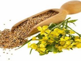 mustard-seed-oil-660x330_828156_large