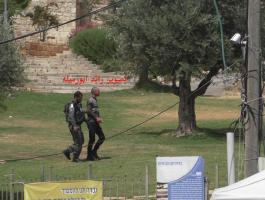 13240134_1409072002468549_8515347510041252832_n