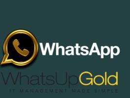 whatsapp-logo-100564089-primary-jpg-42804521179503586