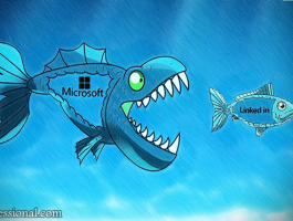 MS LinkedIN