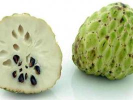 version4_custard-apple