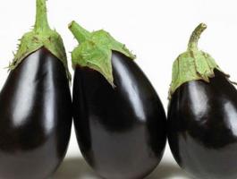 FRESH_Eggplant