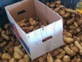 الكشف عن عملية غش تجاري في جنين