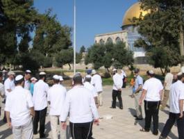 3cfa7f590e980b474cfa8e158c66a367