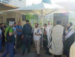 13592177_1201275126616053_404753766292509950_n