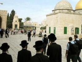 ad501cfe3d23479f7e2728db9cf8e3aa