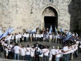 منظمات الهيكل