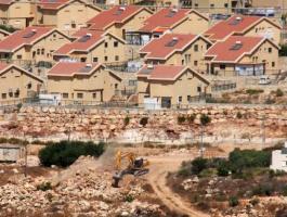 التغول الاستيطاني