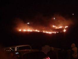 الدفاع المدني يخمد حريقا في أحراش جيبيا شمال رام الله