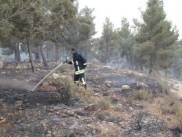 11334140-889634581078173-9114040226720136362-o-jpg-67992124614023771