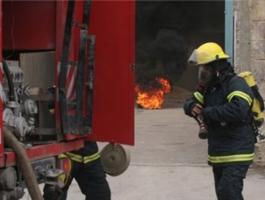 17548249848335397376