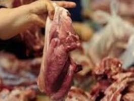 ضبط لحوم مهربة ومنتهية الصلاحية في جنين