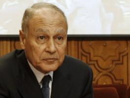 احمد ابو الغيط