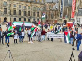 هولندا تعترف رسمياً بالضفة وغزة مكاني ولادة في بلادها