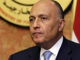 شكري يبحث مع نظيره البريطاني الأوضاع في المنطقة.jpg