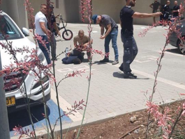 طعن في العفولة 2.png