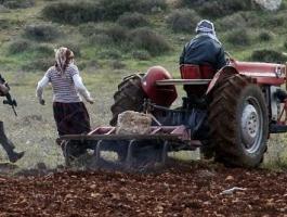 الاحتلال يعتقل 3 مزارعين.jpg