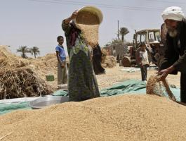 السودان تجدد قرار حظر الاستيراد من مصر وعبرها