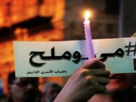 برلمانيون مصريون يعلنون الإضراب الرمزي عن الطعام تضامناً مع الأسرى.jpg