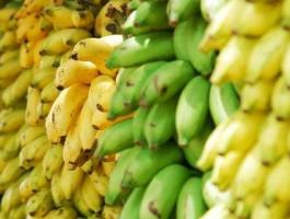 bunch-of-bananas_734777_large.jpg