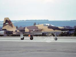 Northrop_F-5E_Tiger_II,_Jordan_-_Air_Force_AN2020760