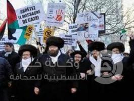 يهود الحاسيديم يرفعون علم فلسطين في نيويورك