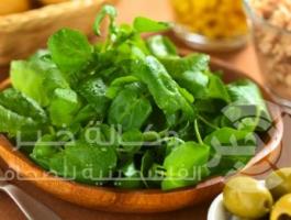 shutterstock_109187579