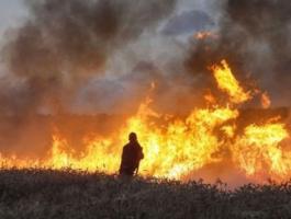 اندلاع أكثر من ألف حريق بمستوطنات غلاف غزة منذ 3 أشهر