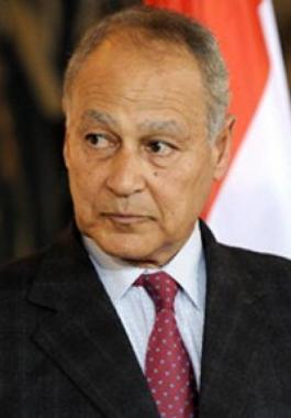 أحمد أبو الغيط