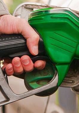 869ad1411345846a50c2dff31a1ea247-1