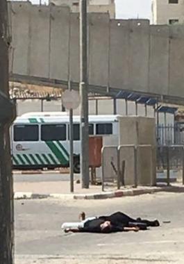 13115704_1004187049675427_1302740236_n