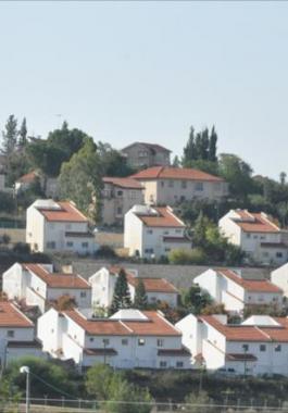 مستوطنة عمونا