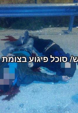 12410526_986551088065214_3974153451463901231_n