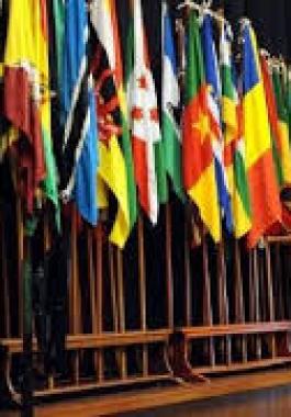 دول عدم الانحياز