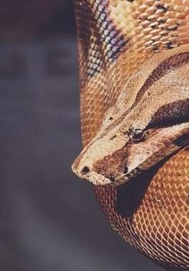 تعرفوا عليها:  لماذا 