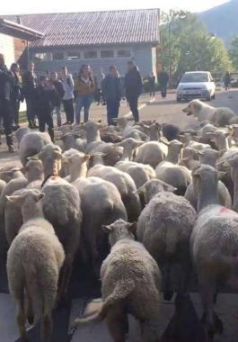 بهدف 