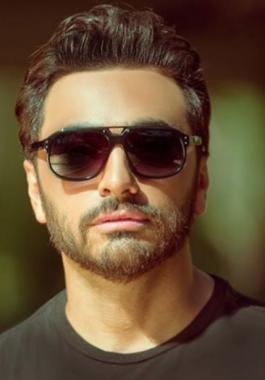 تامر حسنى 