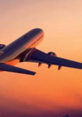 شاهد: حصان على متن 