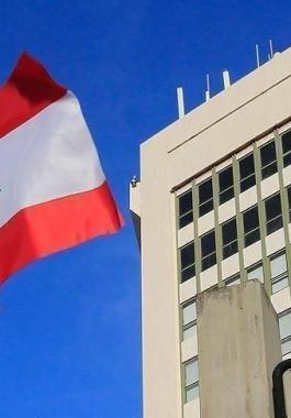 لبنان: هيئات 